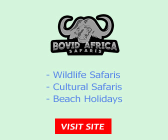 Bovid Africa Safaris